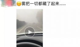 雾中人,探寻迷雾中的生命轨迹